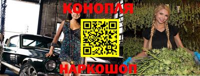 Альфа ПВП Будённовск