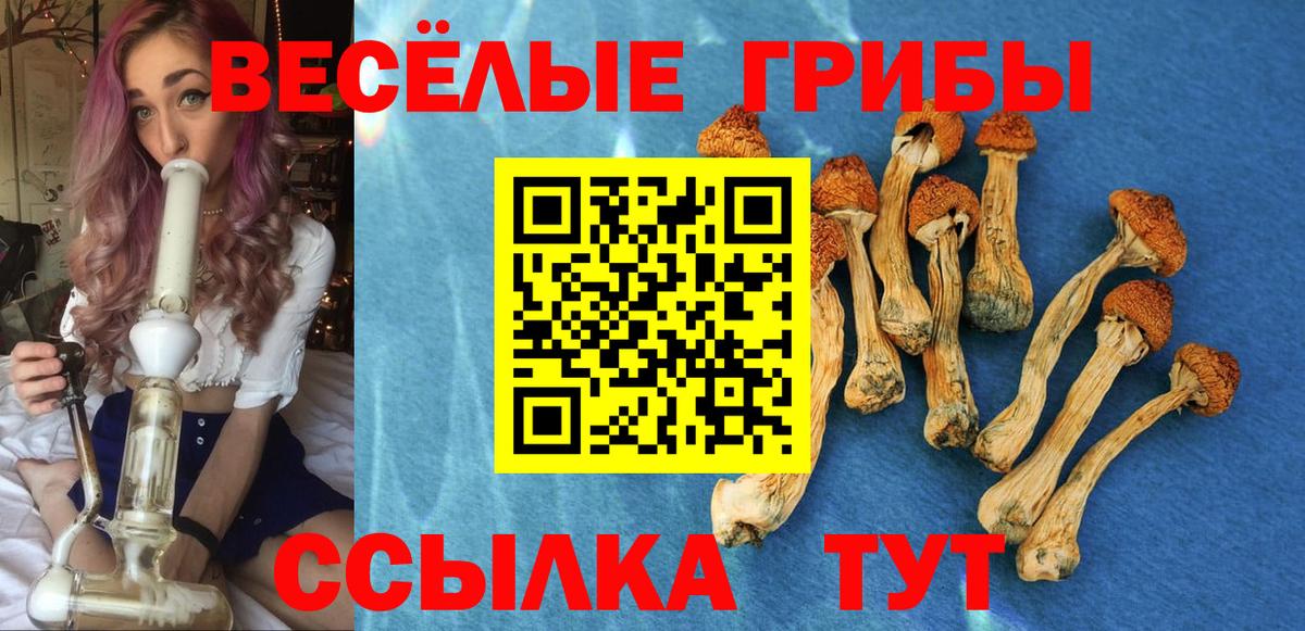 Нововоронеж  где продают   Вход с VPN  Псилоцибиновые грибы мицелий 