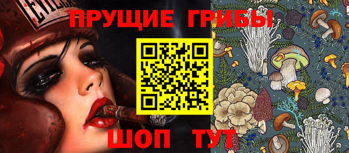 Псилоцибиновые грибы Psilocybe Нововоронеж